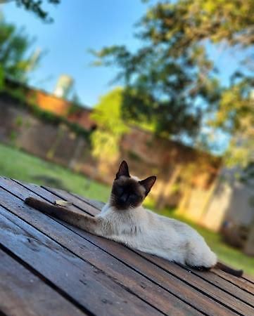 Hostel Lo De Kata Garupá Dış mekan fotoğraf